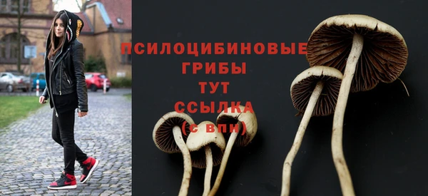марки nbome Богородицк