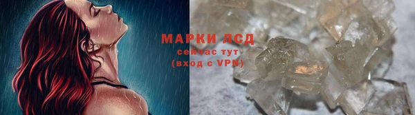 стаф Богданович