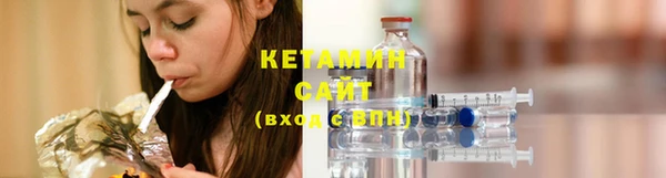 стаф Богданович