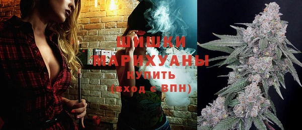 стаф Богданович