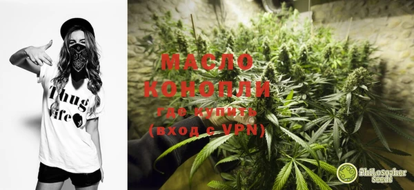 стаф Богданович