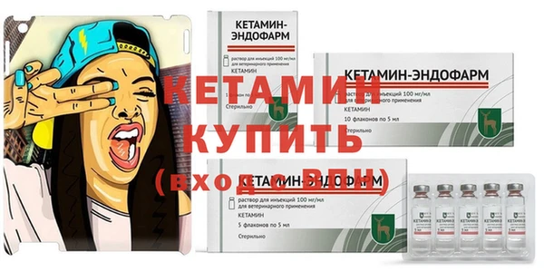 стаф Богданович
