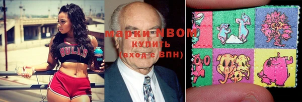 стаф Богданович