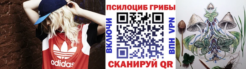 где купить наркоту  Новомосковск  Галлюциногенные грибы мицелий 