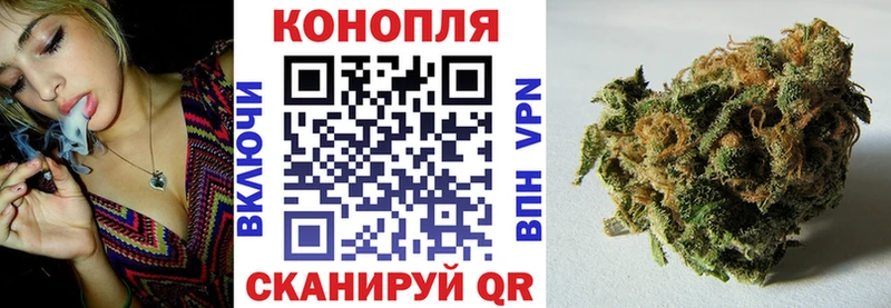 Конопля сатива  нарко площадка клад  Новомосковск 